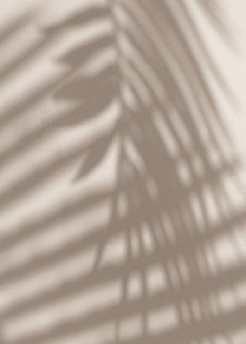 Canvastavla - Palm and Shadows