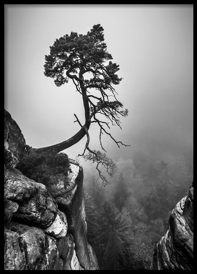 Poster - Tree of Hope