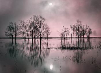 Canvastavla - Lake´s Secret