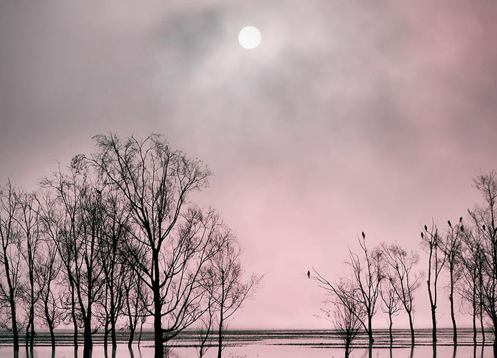Canvastavla - Lake´s Secret