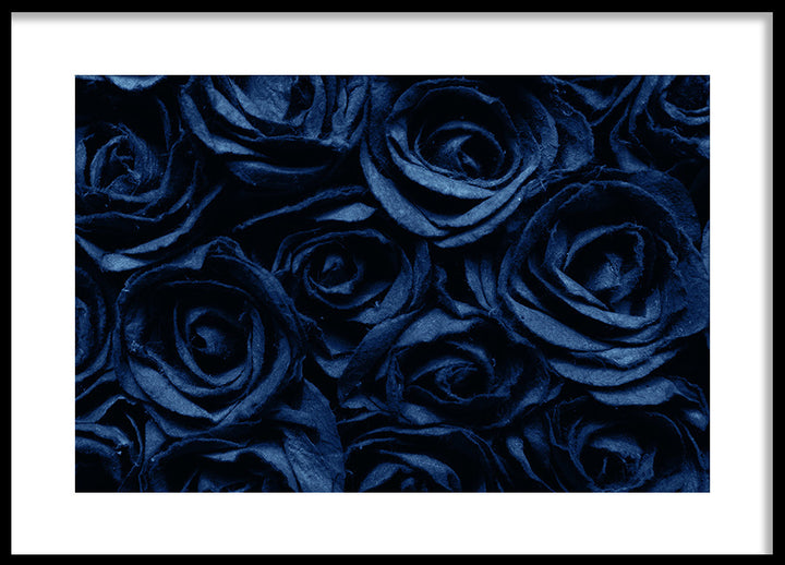 Poster - Roses are Blue