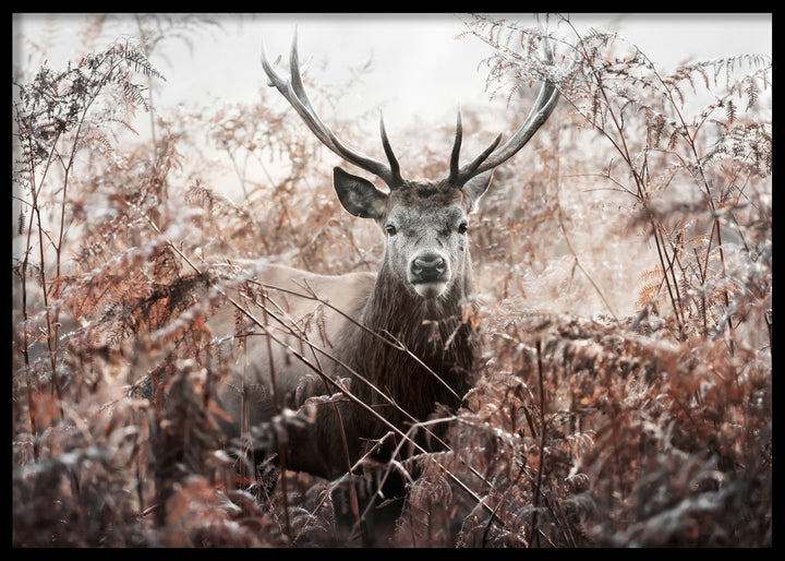 Poster - Majestic Solitude