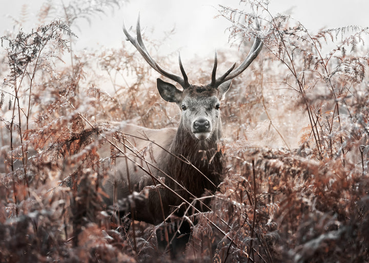 Poster - Majestic Solitude
