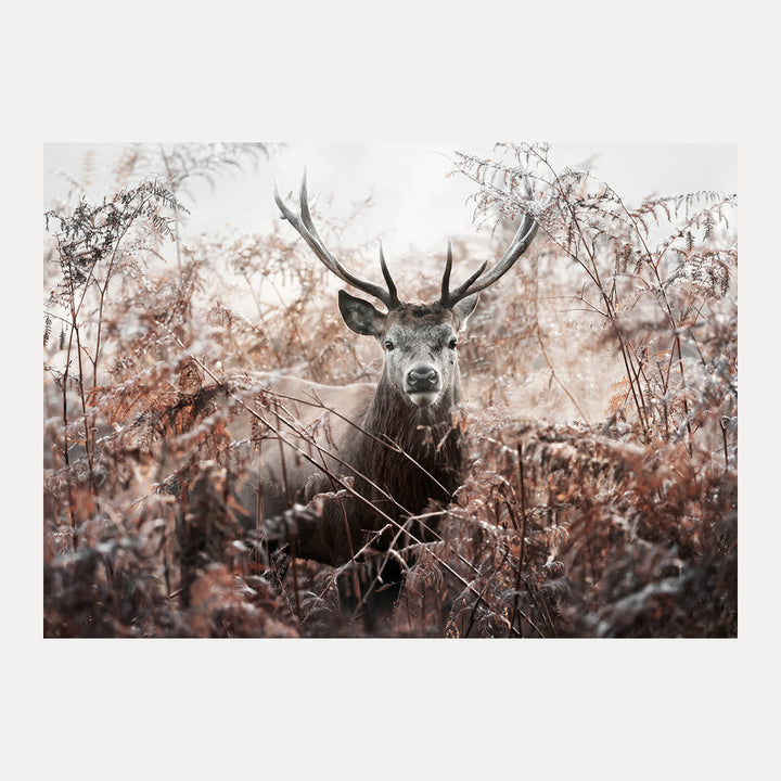Poster - Majestic Solitude