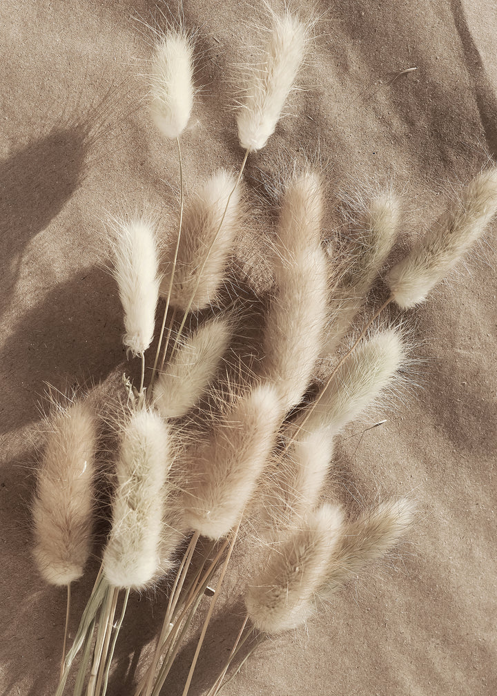 Ljuddämpande tavla - Bunny Tails