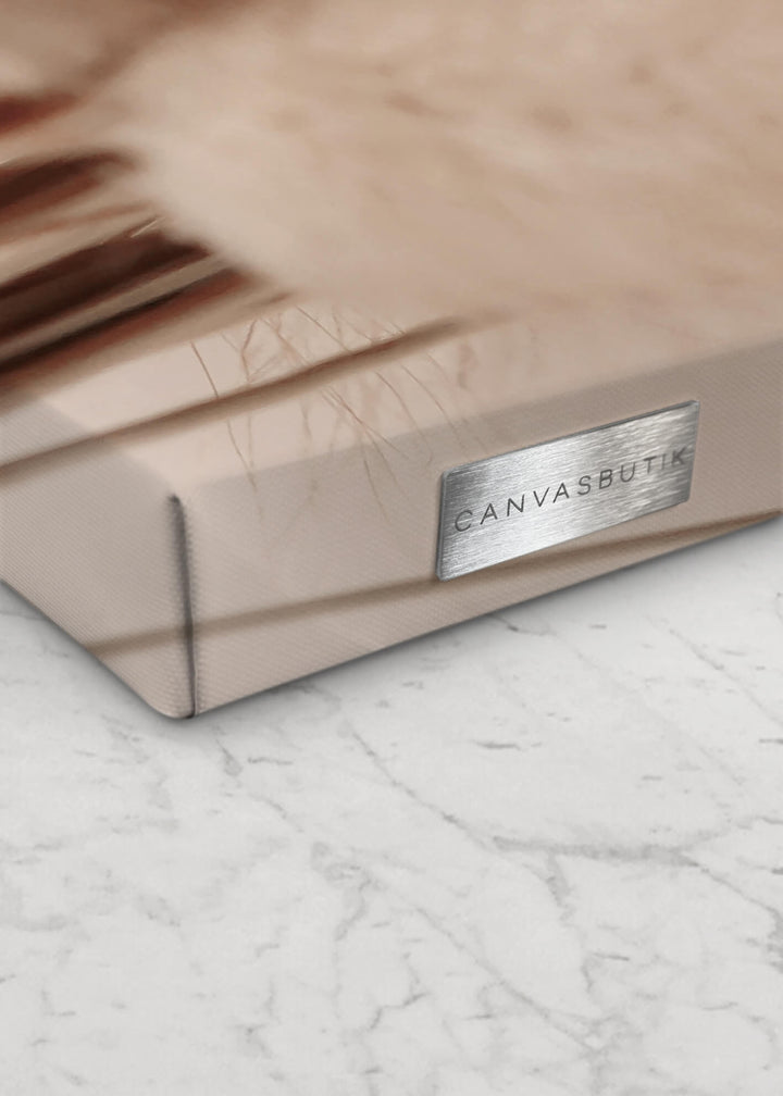 Canvastavla - Soft Pampas No2
