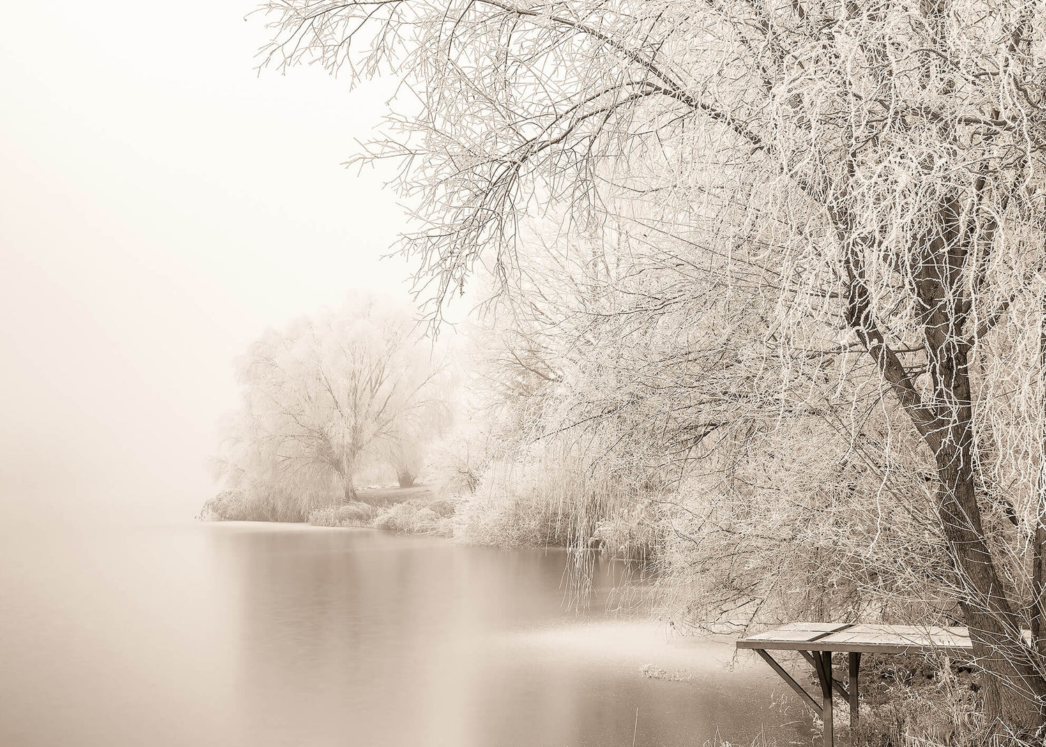Canvastavla - Frozen Tree