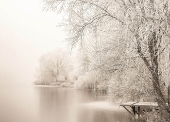 Canvastavla - Frozen Tree