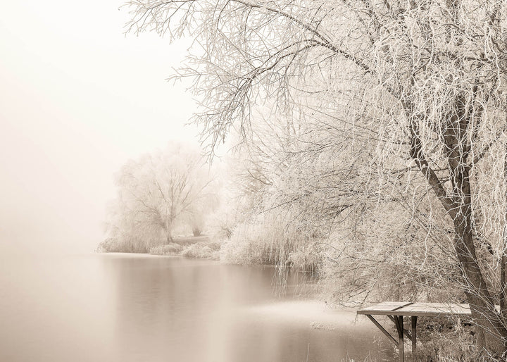 Canvastavla - Frozen Tree