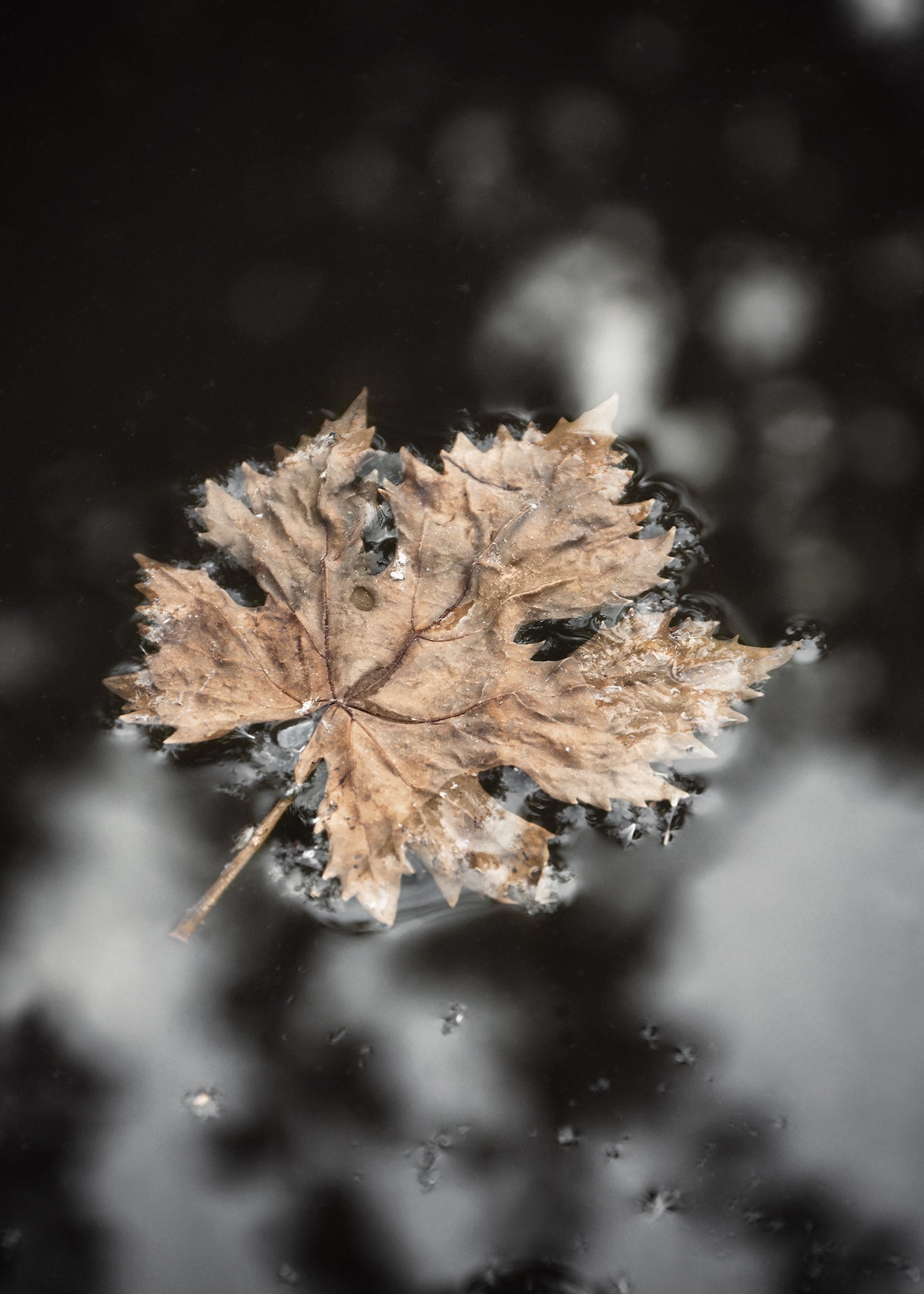 Ljuddämpande tavla - Frozen Water