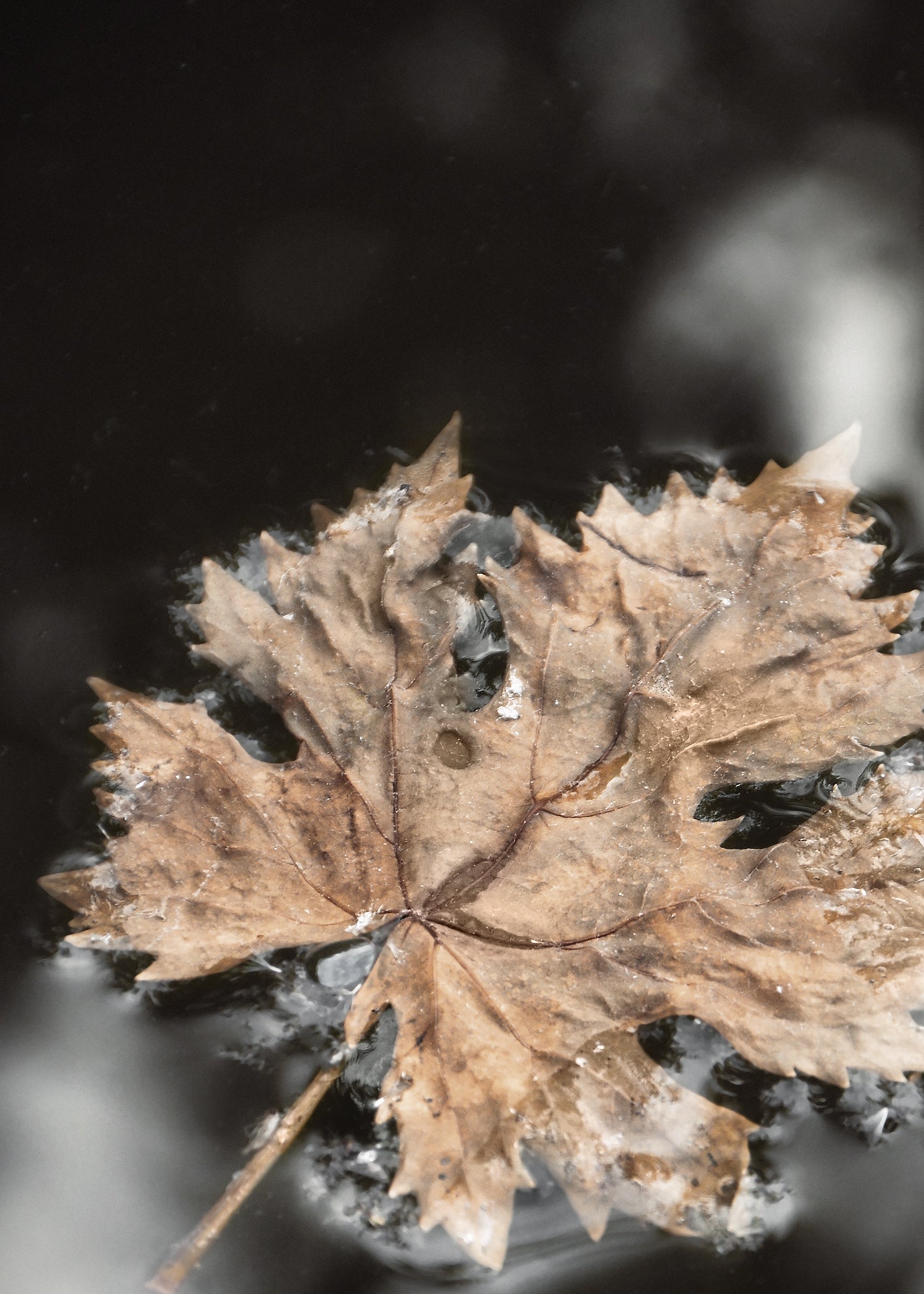 Canvastavla - Frozen Water