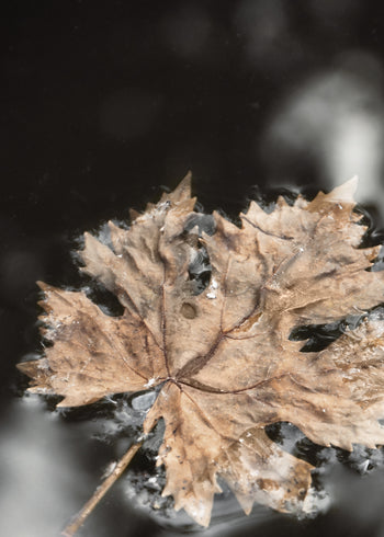 Ljuddämpande tavla - Frozen Water