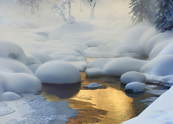 Canvastavla - Vinter