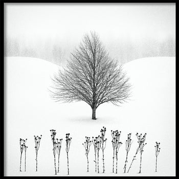 Poster - Winter View