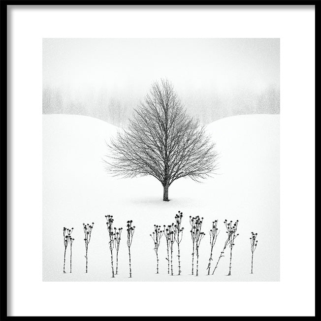 Poster - Winter View