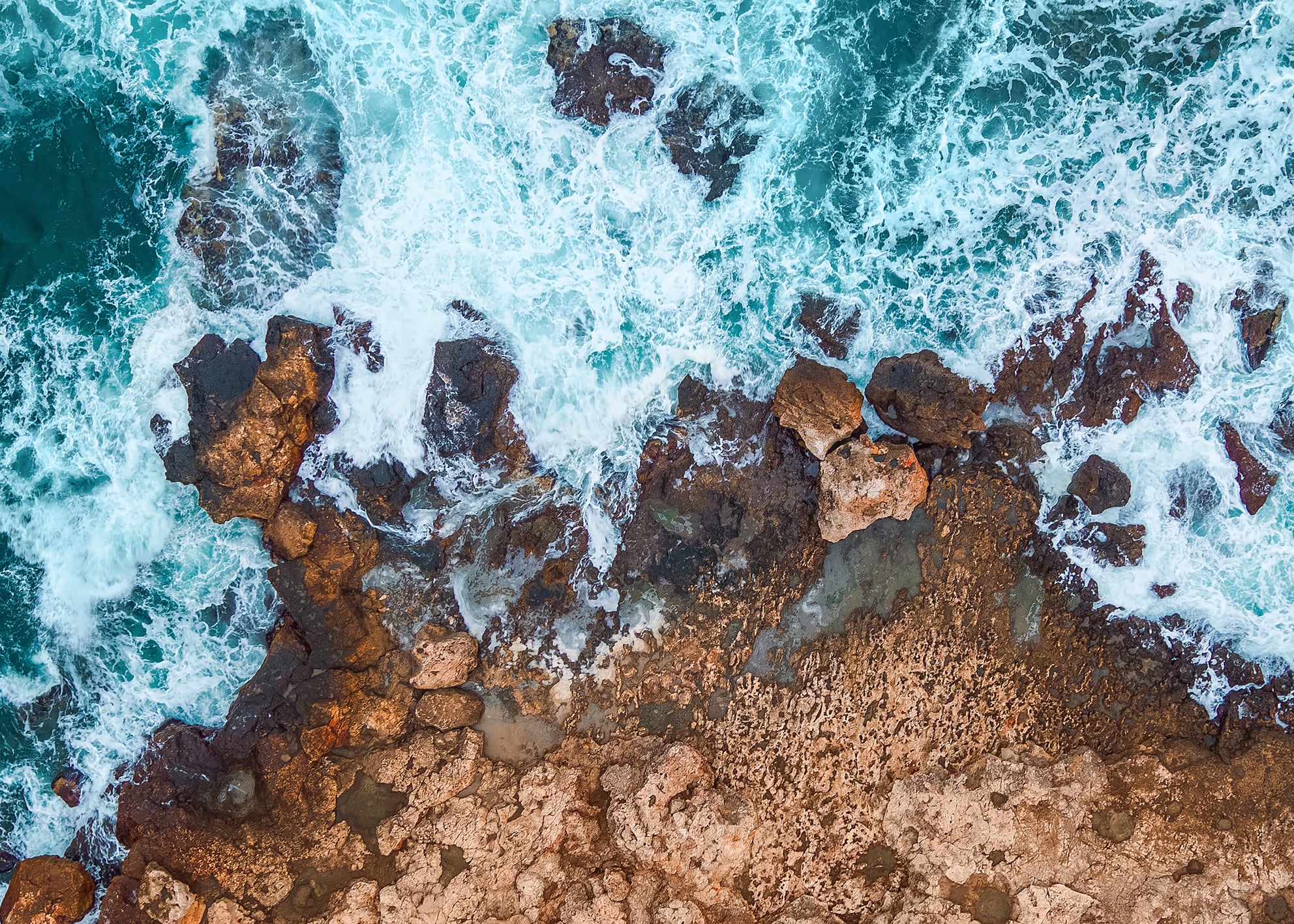 Canvastavla - Golden Coastline