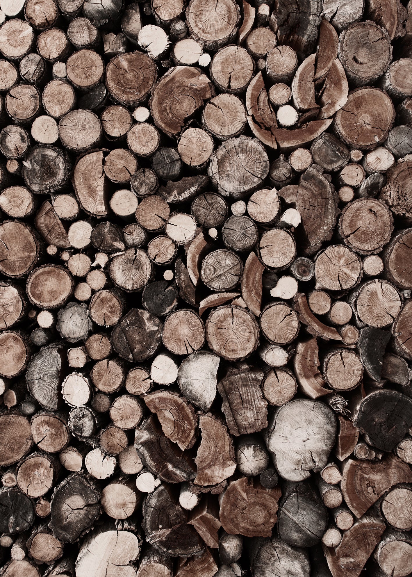 Canvastavla - Fire Wood