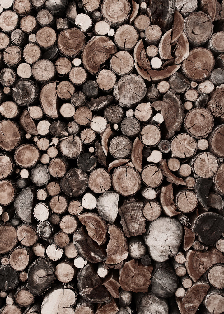 Canvastavla - Fire Wood
