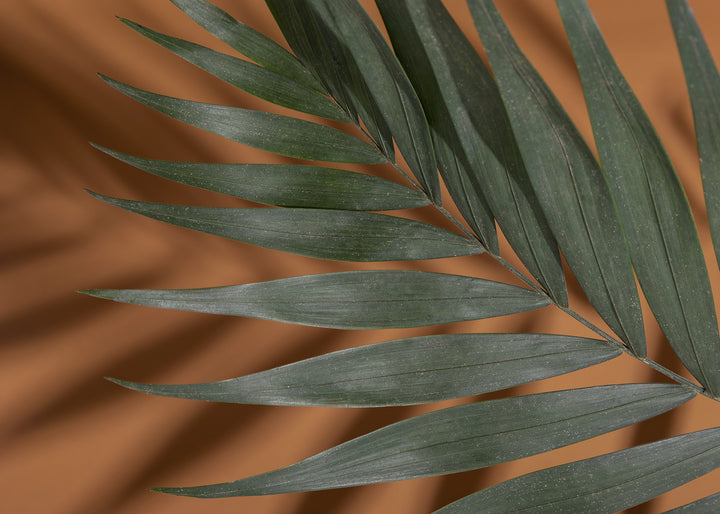 Canvastavla - Palm Shadows