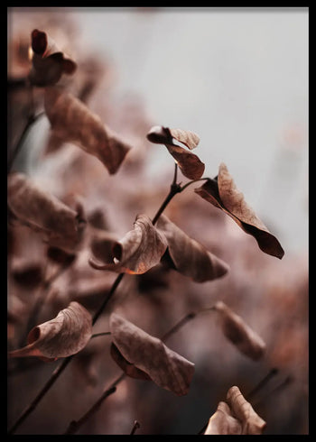 Poster - Whispering Leaves