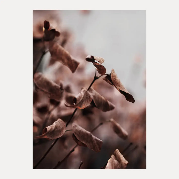 Poster - Whispering Leaves