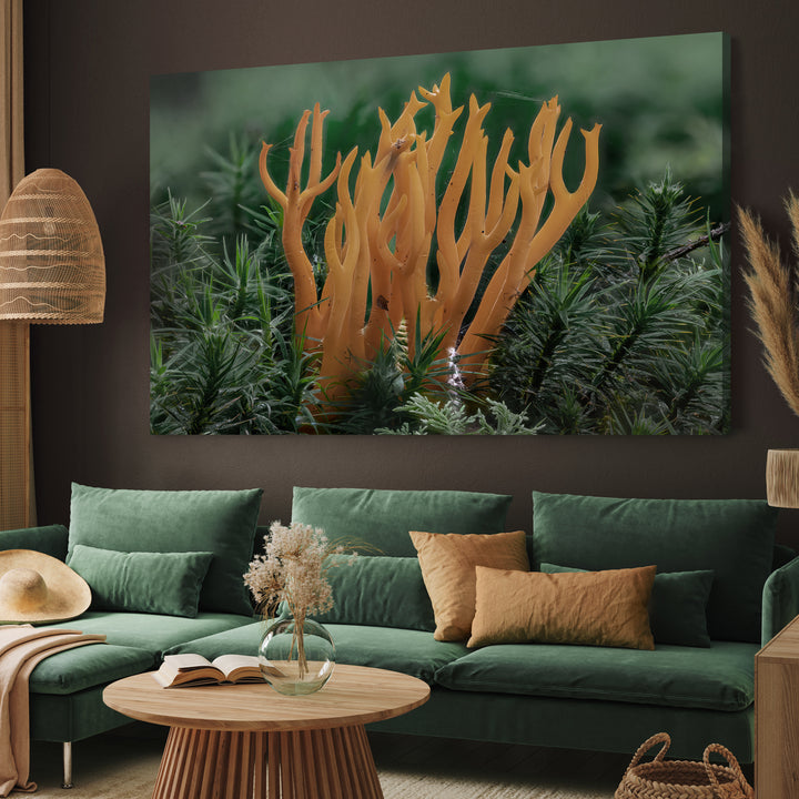 Canvastavla - Calocera