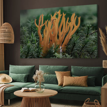 Ljuddämpande tavla - Calocera