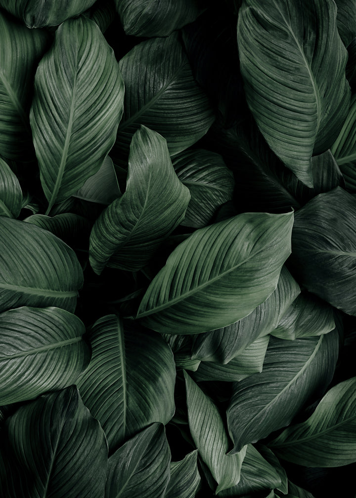 Canvastavla - Greenish