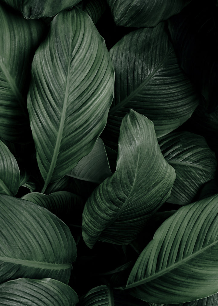Ljuddämpande tavla - Greenish