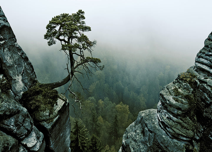 Canvastavla - Cliffs