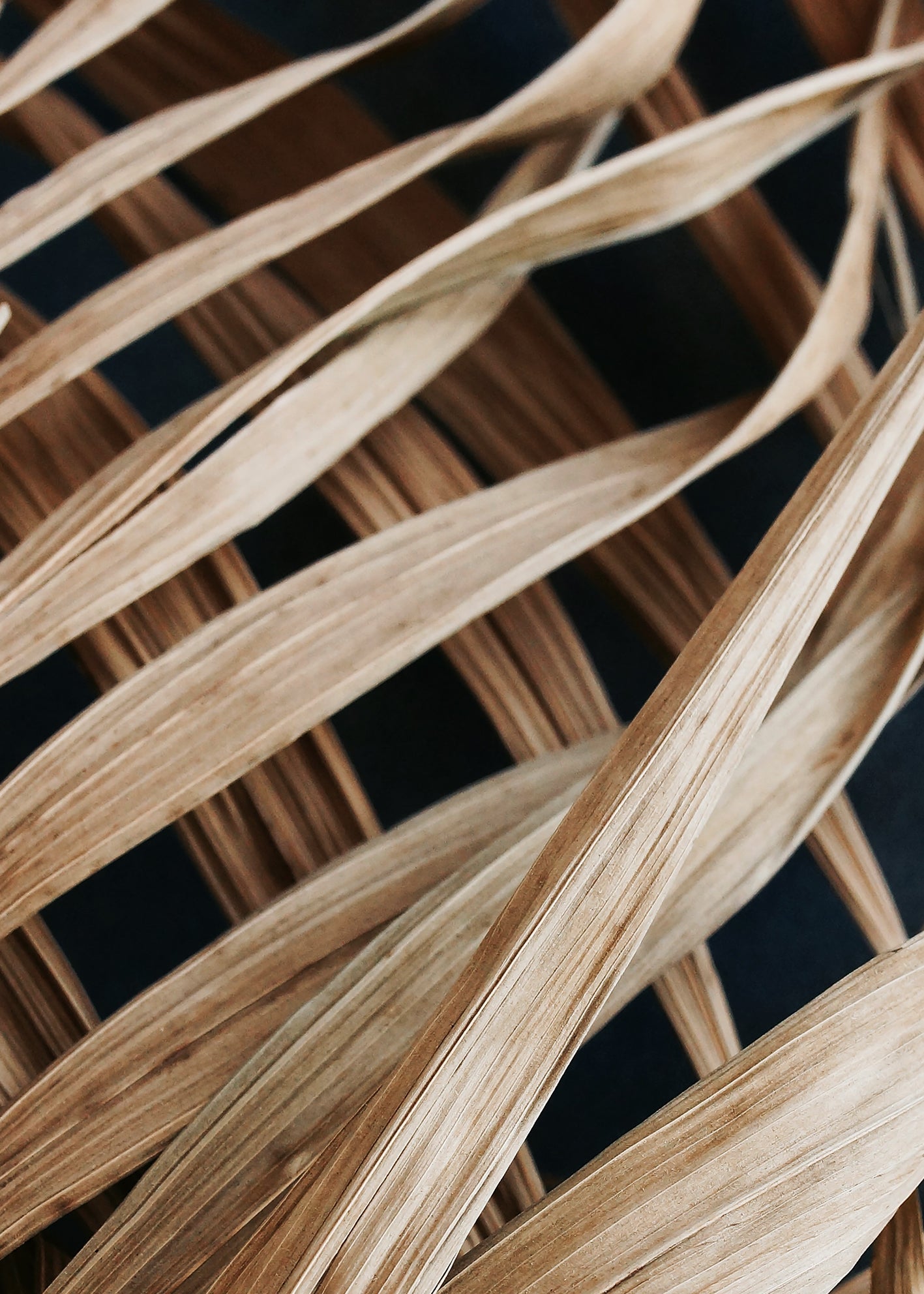 Canvastavla - Dry Palm Leaves