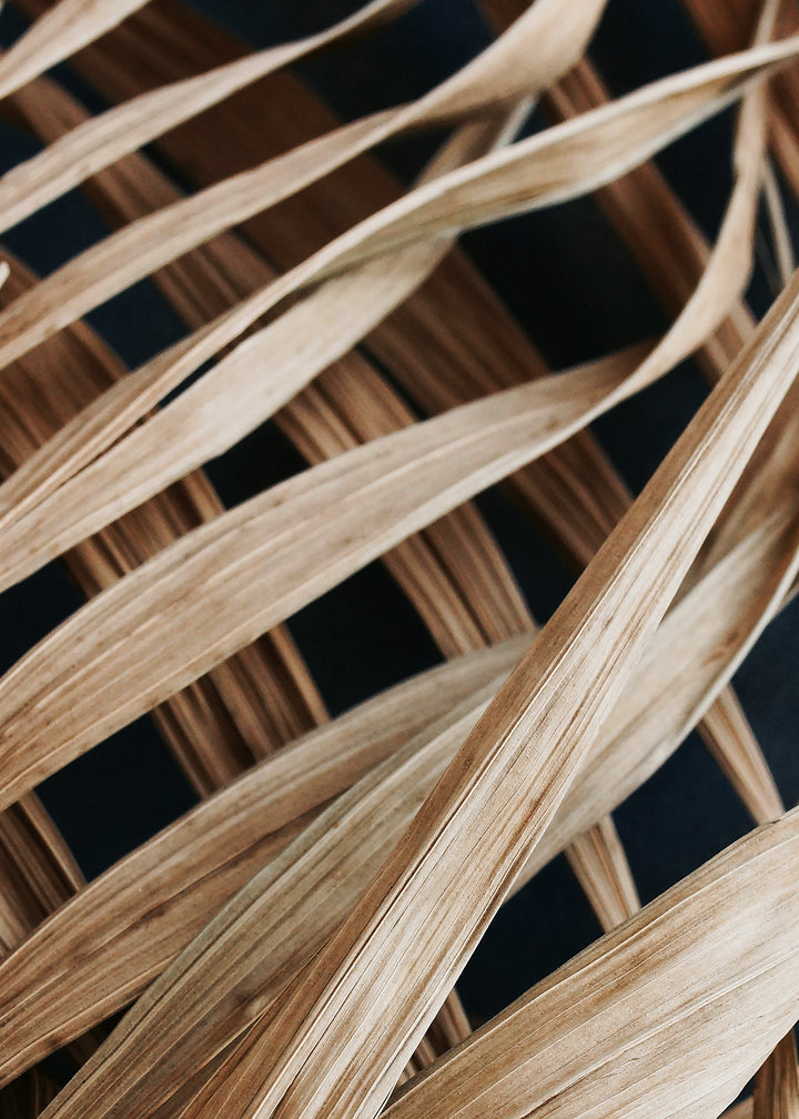 Canvastavla - Dry Palm Leaves