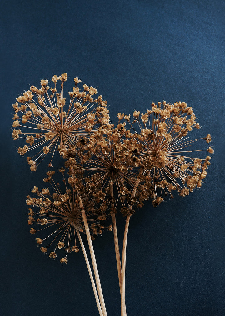 Canvastavla - Allium