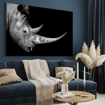 Ljuddämpande tavla - Rhinoceros