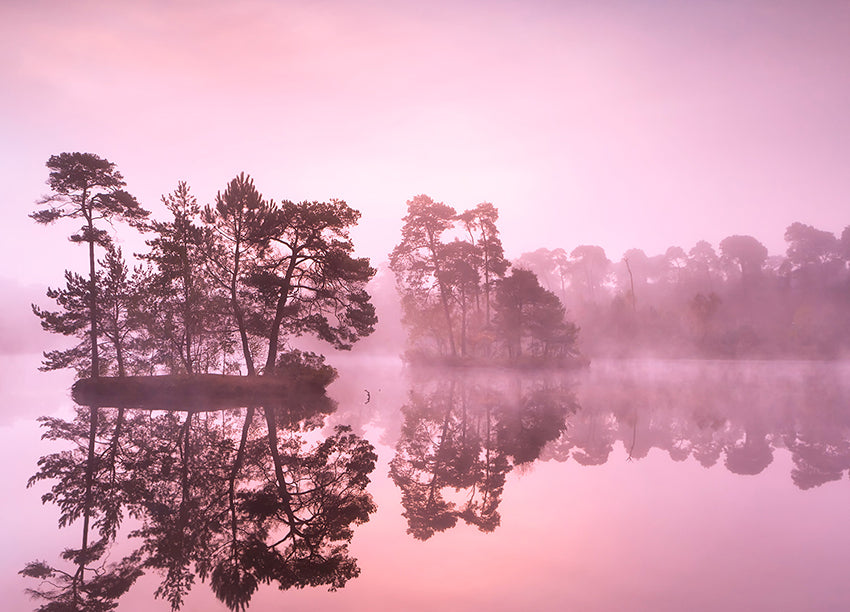 Canvastavla - Misty Lake