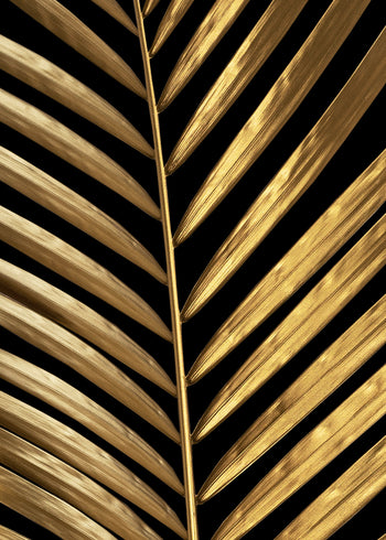 Canvastavla - Coconut
