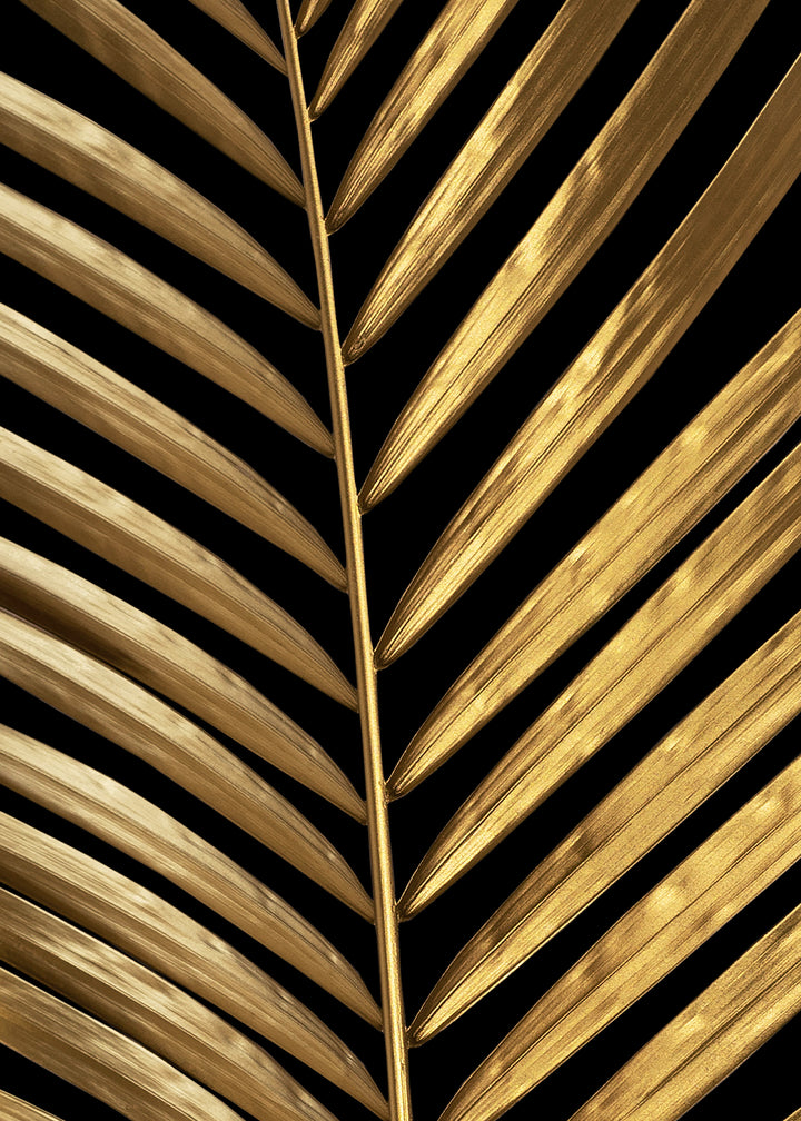 Canvastavla - Coconut