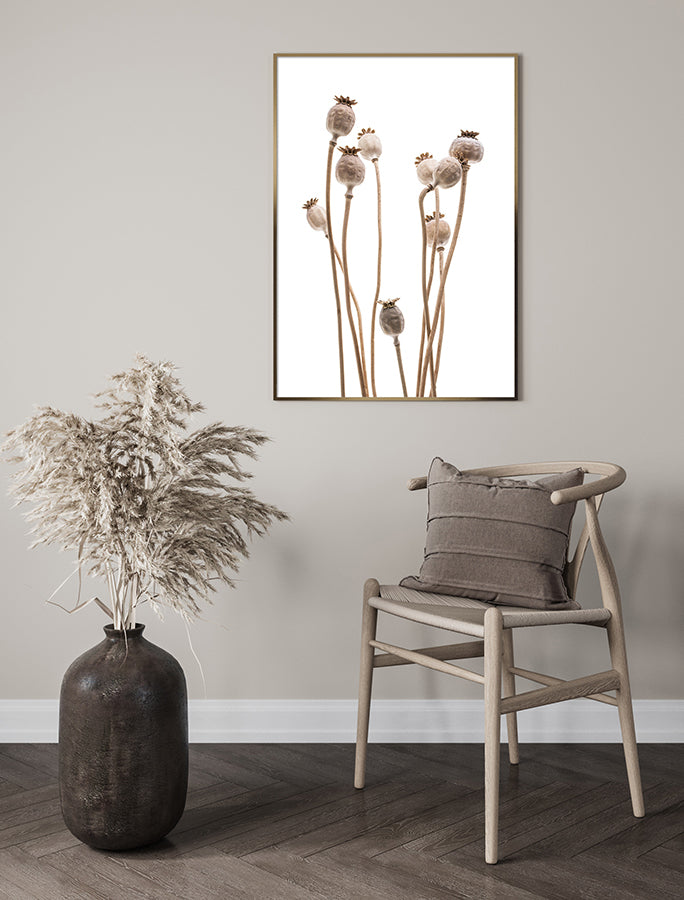 Poster - Poppy capsules