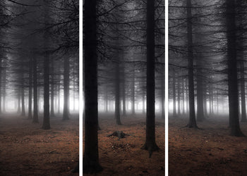 Ljuddämpande tavla - Skog Tavlor i delar