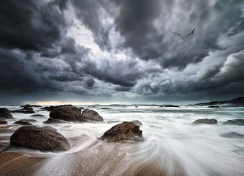 Canvastavla - Power Of Nature