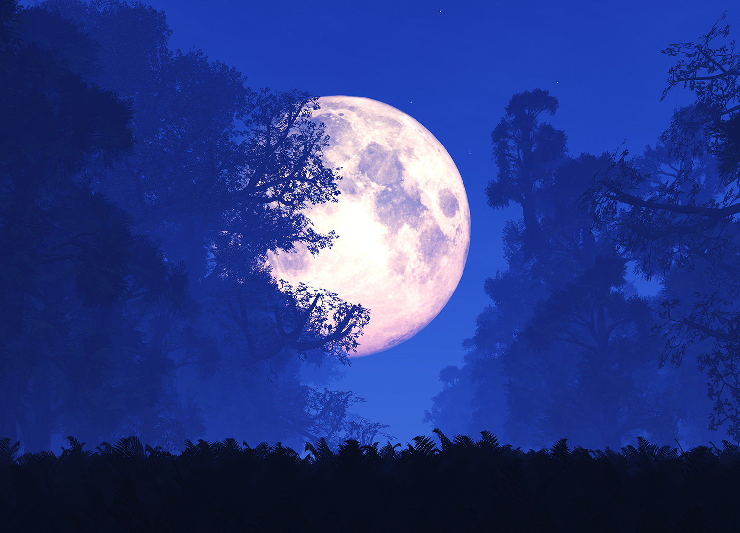 Canvastavla - Blue Forest