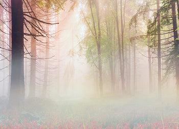 Canvastavla - Mystical forest