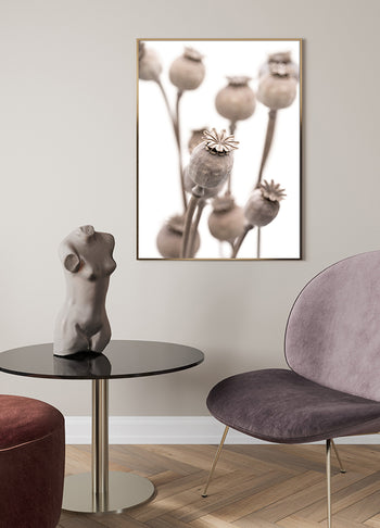 Poster - Dry poppy