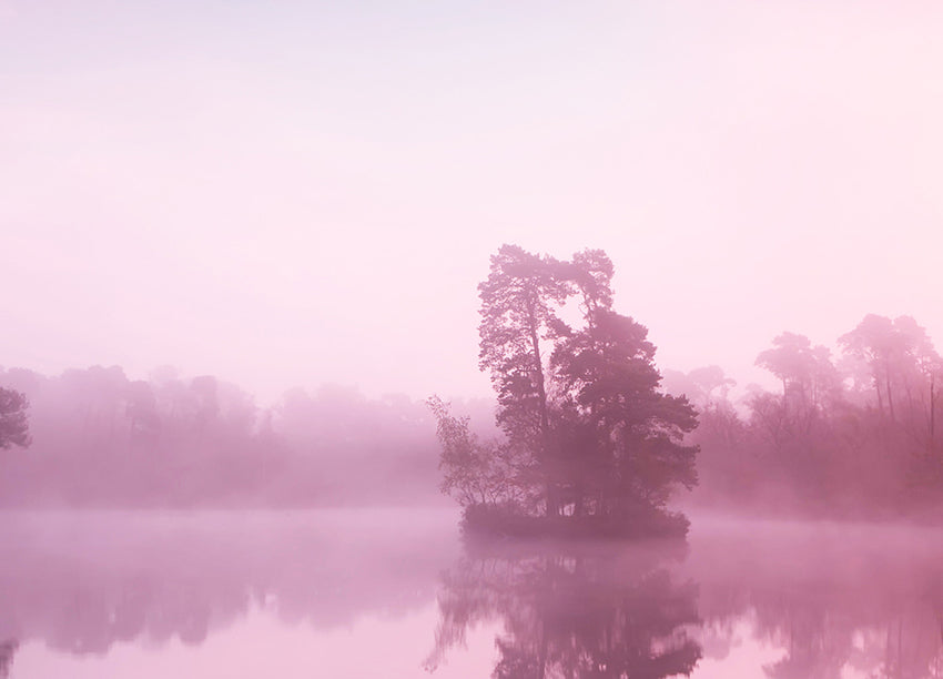 Canvastavla - Rosa Gryning