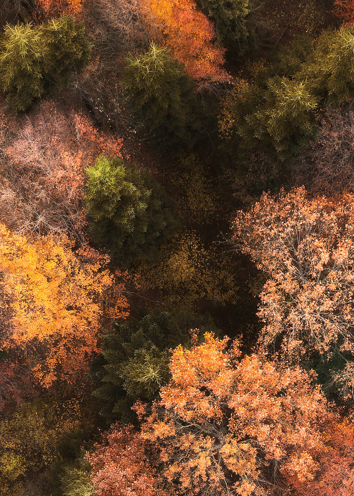 Canvastavla - Fall's Canvas