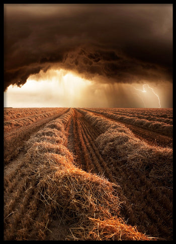 Poster - Prepare for the Storm