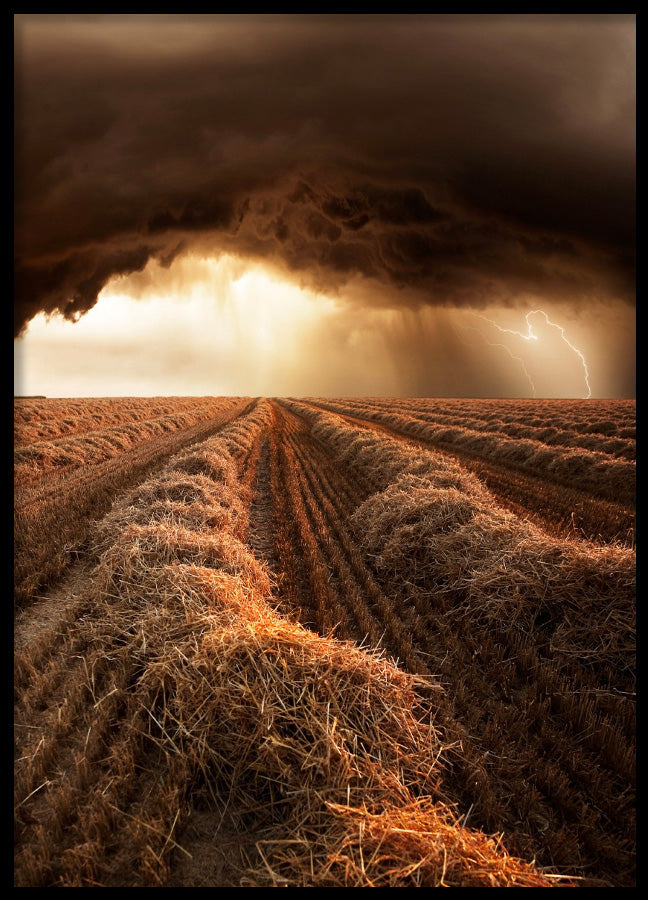 Poster - Prepare for the Storm