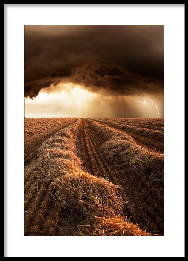 Poster - Prepare for the Storm