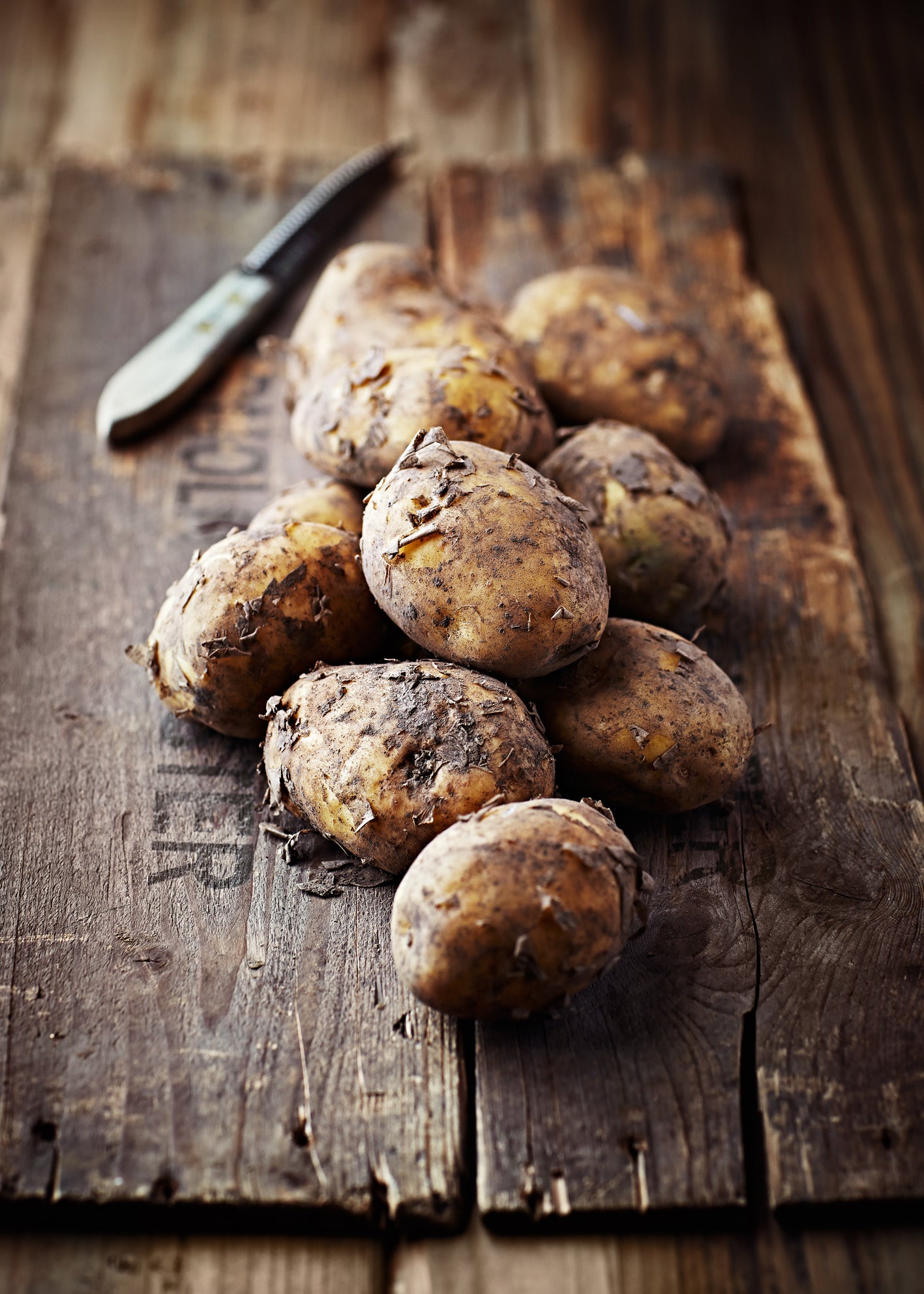 Canvastavla - Earthy Tubers