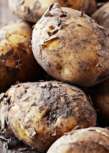 Canvastavla - Earthy Tubers